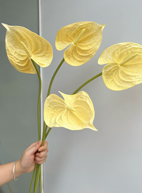 PU大号红掌 打印仿真花插花花材摄影道具家居软装花材直销