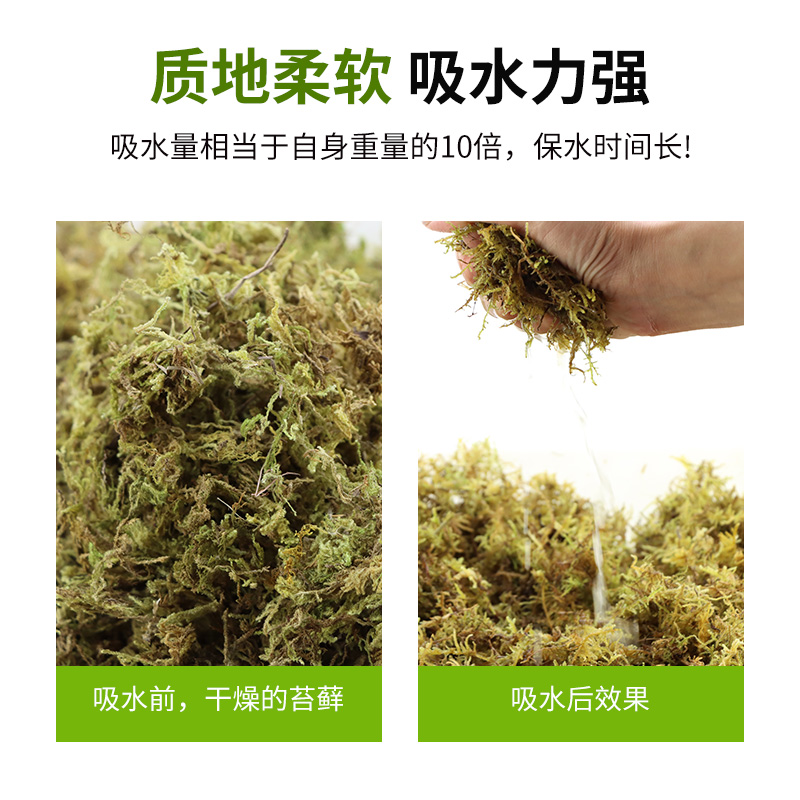 乌龟冬眠干苔藓草爬宠垫材天然水苔绿青苔巴西龟草龟取暖过冬用品 - 图1