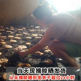 Чанбай Маунтин Ганодерма Lucidum Chi Ganoderma Lucidum Таблетки бесплатно бесплатная доставка