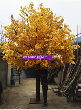 假树新款花卉银杏树实木树干布景