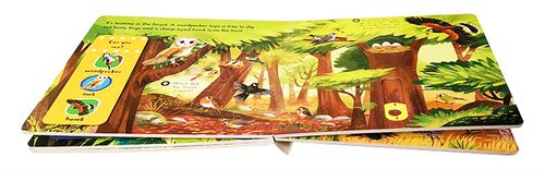 英文原版绘本First Explorers: Beautiful Birds美丽的鸟儿机关操作纸板书幼儿科普认知趣味玩具书动手锻炼游戏玩具童书0-6岁 - 图1