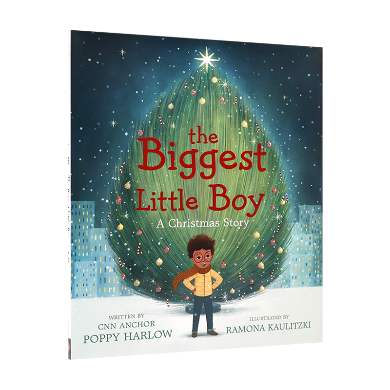 英文原版 The Biggest Little Boy: A Christmas Story 圣诞节 最大的小男孩 圣诞节故事 4-8岁儿童宝宝启蒙益智精装绘本 - 图3