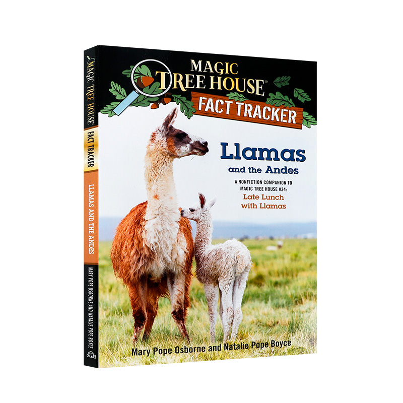 神奇树屋小百科#43Llamas and the Andes英文原版经典冒险小说Magic Tree House Fact Tracker儿童课外阅读趣味故事桥梁初级章节书 - 图3