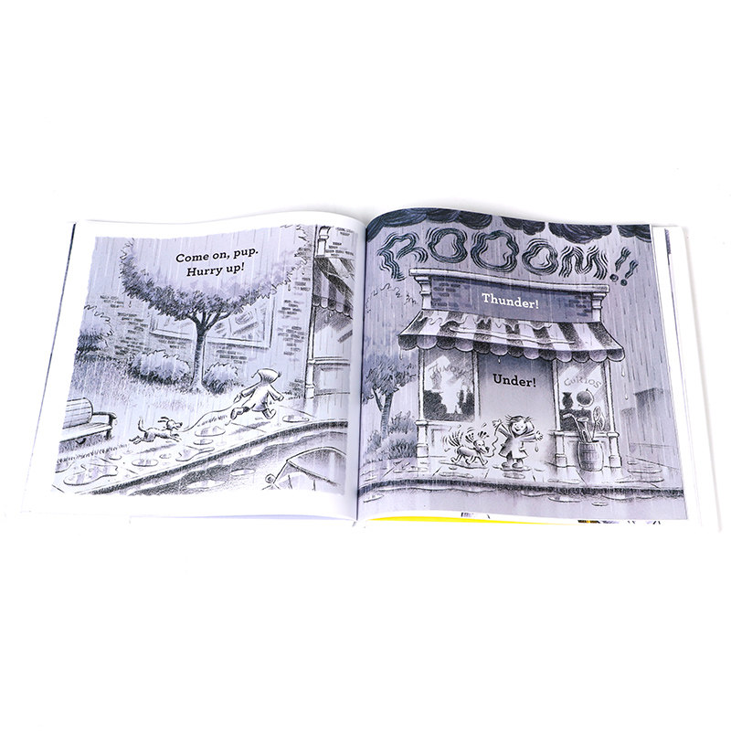 英文原版 The Umbrella 雨伞 关于坚持、善良和好奇心的故事 HarperCollins出版 4-8岁儿童宝宝品格塑造礼仪培养精美绘本精装