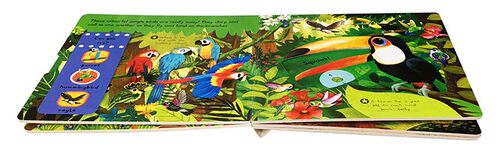 英文原版绘本First Explorers: Beautiful Birds美丽的鸟儿机关操作纸板书幼儿科普认知趣味玩具书动手锻炼游戏玩具童书0-6岁 - 图0