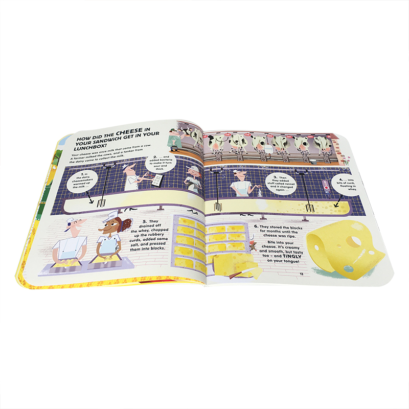 食物是怎么来的？ 英文原版绘本Lunchbox The Story of Your Food 午餐盒食物的故事儿童科普故事图画书 STEAM知识百科 5-9岁 - 图2