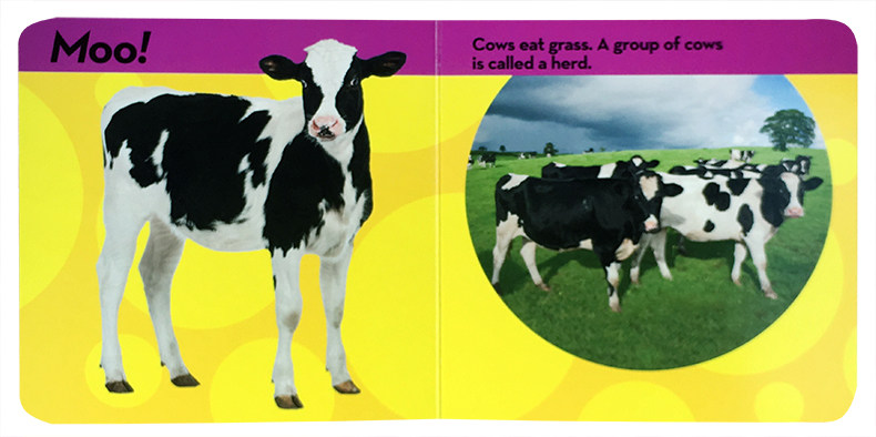 英文原版National Geographic Kids Look and Learn: Farm Animals国家地理少儿版系列幼儿童英语启蒙童书全彩版动物农场2-3-4-5岁