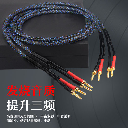 Xangsane 发烧级喇叭线 音箱环绕线 HIFI 主音响线 无氧铜音频线 - 图0