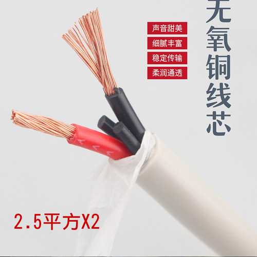 Xangsane 发烧级喇叭线 音箱环绕线 HIFI 主音响线 无氧铜音频线 - 图3