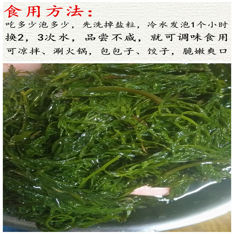 荣成盐渍新鲜马尾藻海草龙须菜鞭炮竹长寿菜碱性海藻酒店食材5斤 - 图1