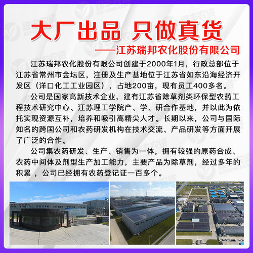 24%乙氧氟草醚 大蒜甘蔗水稻田苗前除草封闭药防阔叶杂草莎草稗草 - 图0