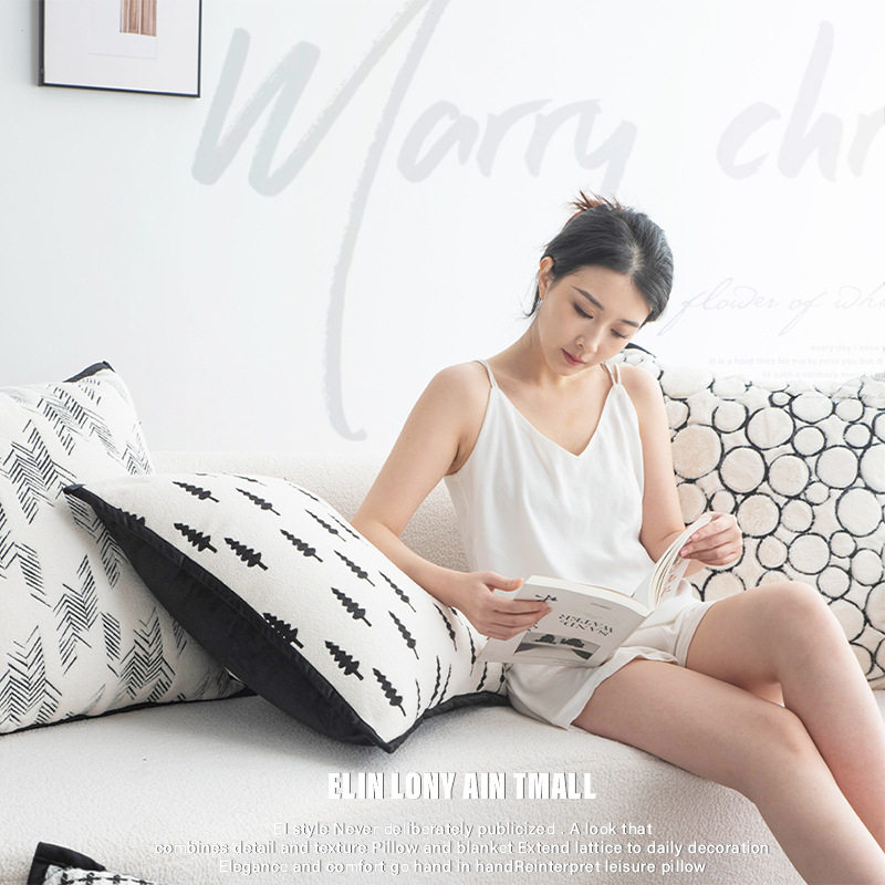 抱枕靠垫沙发客厅靠垫套抱枕套不含芯轻奢高级感靠枕套超大靠背垫,淘宝优惠券,粉丝福利购,淘宝优惠卷