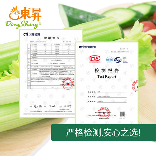 东升农场 高原西芹  芹菜 西芹新鲜轻食 养生 广州发货 3/5斤包邮 - 图0