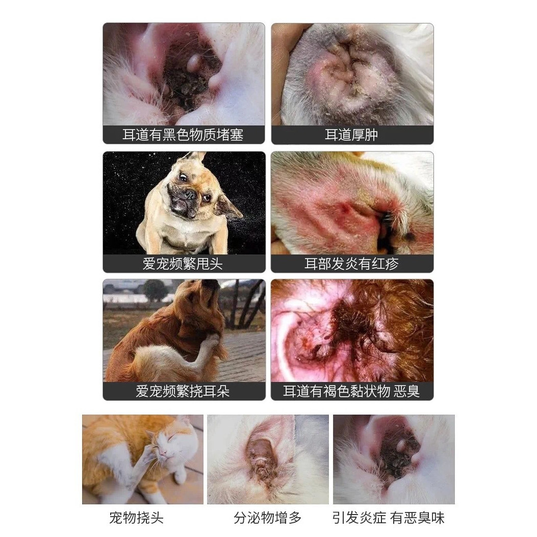 派维为万尔抒复方制霉菌素软膏犬猫耳螨净舒红肿瘙痒真菌耳炎垢,淘宝优惠券,粉丝福利购,淘宝优惠卷