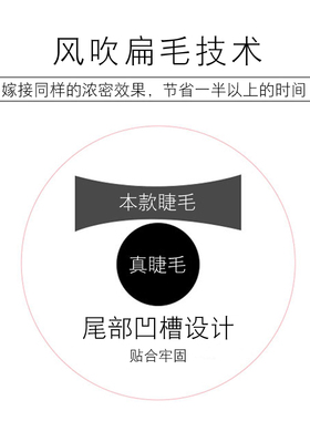 单根扁毛俏紫瞳轻羽零触感单根