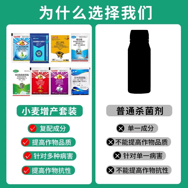 小麦一喷三防髙产套餐蚜虫赤霉病白粉病纹枯病红蜘蛛増产药杀虫剂 - 图0