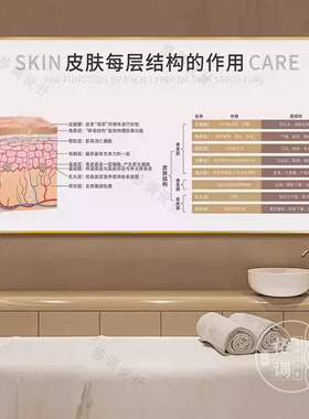皮肤管理原理剖析图挂画医美机构装饰画美容院咨询面诊室宣传广告