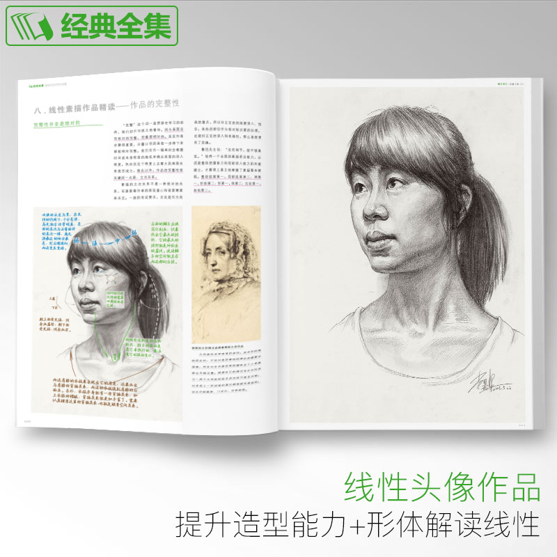 经典全集 感悟素描头像书籍人物线描线性结构临摹范本高考联考 杨建飞主编