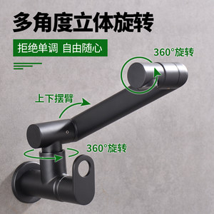 德国时龙黑色入墙单冷拖把池水龙头厨房洗菜盆面盆水龙冰家用旋转