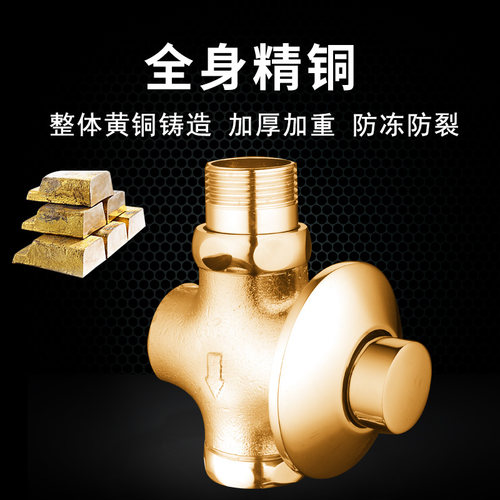 时龙 全铜入墙式暗装手按式大便冲洗阀/冲水阀/蹲/全铜  CL08 - 图1
