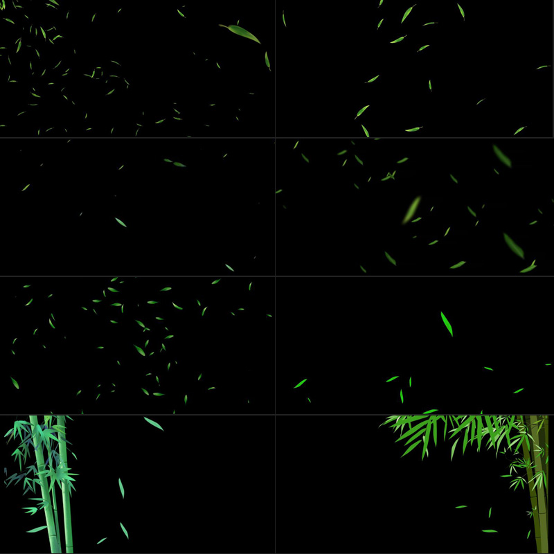pr/ae视频素材唯美春季绿色树叶竹叶飘落散开动画alpha带透明通道 - 图0