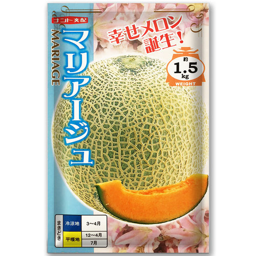 网纹甜瓜籽厚皮瓜种子阿鲁斯巴黎仕100粒四季播瓜籽种甜瓜种孑 - 图0