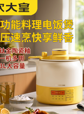 COOKER KING/炊大皇 HT-WYFB30