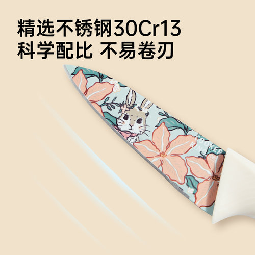 炊大皇水果刀家用不锈钢瓜果刀具厨房削皮器两件套宿舍用学生套装 - 图3