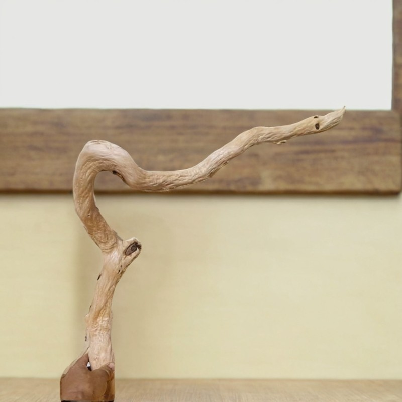 鹦鹉站杆天然随型野梨木树杈木质坚硬耐啃咬纹理清晰鸟笼玩具原木,淘宝优惠券,粉丝福利购,淘宝优惠卷