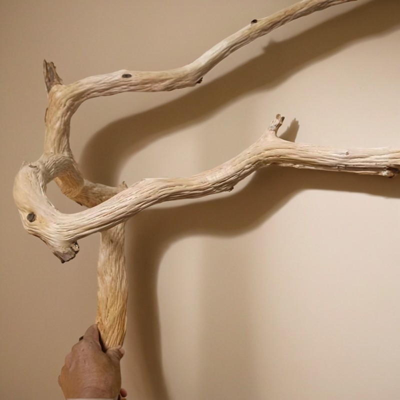 鹦鹉站杆天然随型野梨木树杈木质坚硬耐啃咬纹理清晰鸟笼玩具原木,淘宝优惠券,粉丝福利购,淘宝优惠卷