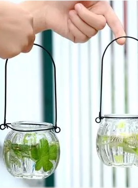 包邮南瓜铁丝吊环玻璃瓶 花溶器 水培瓶 可爱迷你小吊瓶 水植器皿