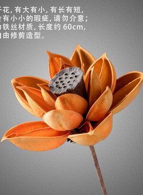 莲蓬荷花天然风干客厅桌面diy