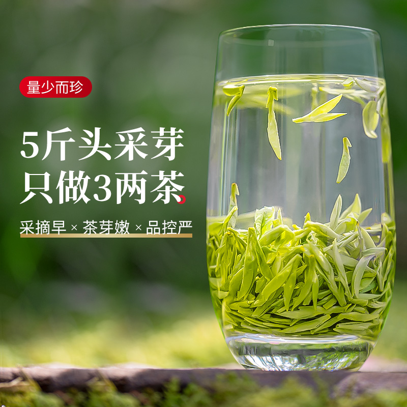 2024新茶头采龙井茶叶浓香型特级明前绿茶春茶乐品乐茶官方旗舰店-图0