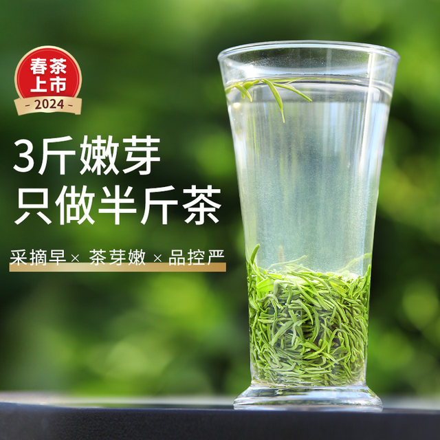 2024 New Tea Maojian Tea Green Tea Special Spring Tea Spring Tea Strong Bulk Tea itself to drink official flagship store