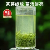 2024 Xinchale Pin Le Tea Bi Luo Chunming's Premium Green Tea Leaf, чтобы выпить подарочную коробку Официальный флагманский магазин