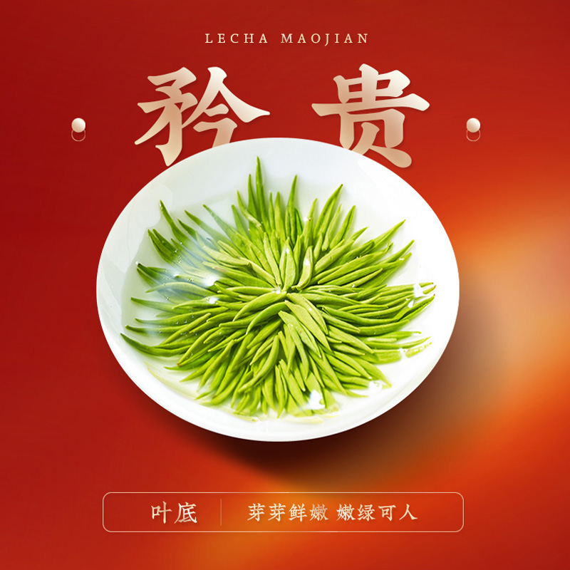 乐品乐茶特级头采芽毛尖茶叶礼盒装高端绿茶明前2024新茶送礼长辈