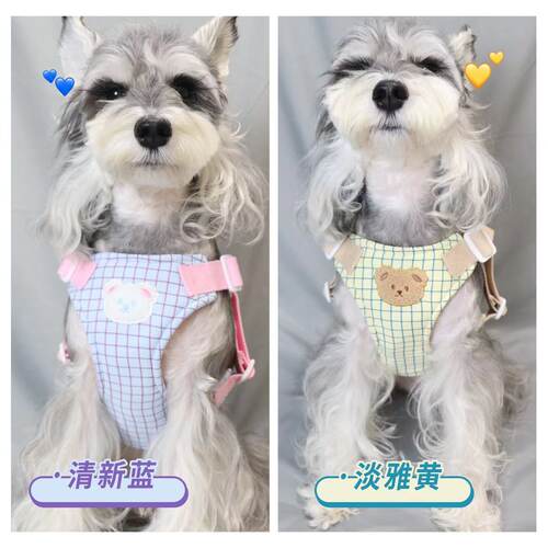 也太爱了！狗狗牵引绳小型犬胸背带遛狗绳背心式泰迪猫咪防挣脱 - 图0