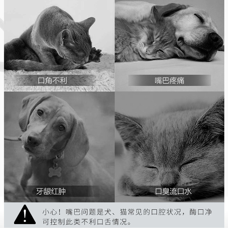 拍2件 猫口炎喷剂猫咪流口水口腔炎牙龈 热品库 性价比省钱购