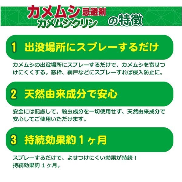 象蝽 天然成份 可驱除预防蝽象 日本产 喷雾款效果持续一月阳台窗 - 图2