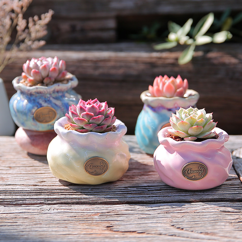 戚大叔 多肉土专用颗粒营养土植物进口泥炭种植土铺面石叶插纯土,淘宝优惠券,粉丝福利购,淘宝优惠卷