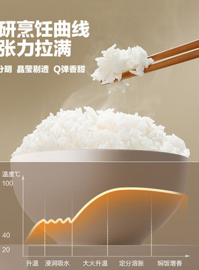 格力316L不锈钢IH电饭煲4L