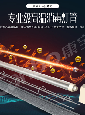 康宝消毒柜家用小型立式双门厨房商用大容量餐具消毒碗柜线下同款