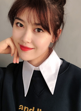 李宇春同款大尖领假领子女