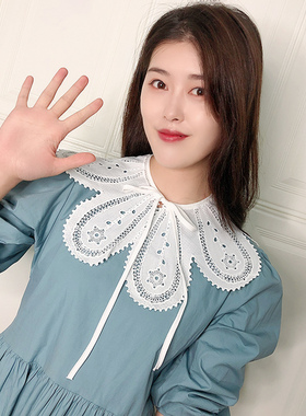 蕾丝花瓣百搭小披肩白色假领子