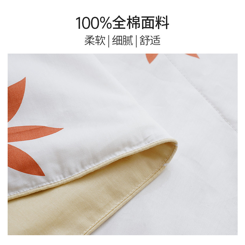 太湖雪100%蚕丝夏季单双人夏凉被 太湖雪蚕丝被