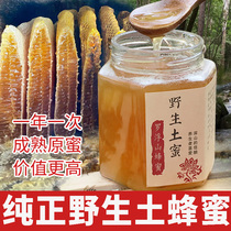 Wild raw earth honey pure natural farmhouse self-produced authentic pregnant womans winter nectar Guangdong 500g lychee dragon eye 100 nectar