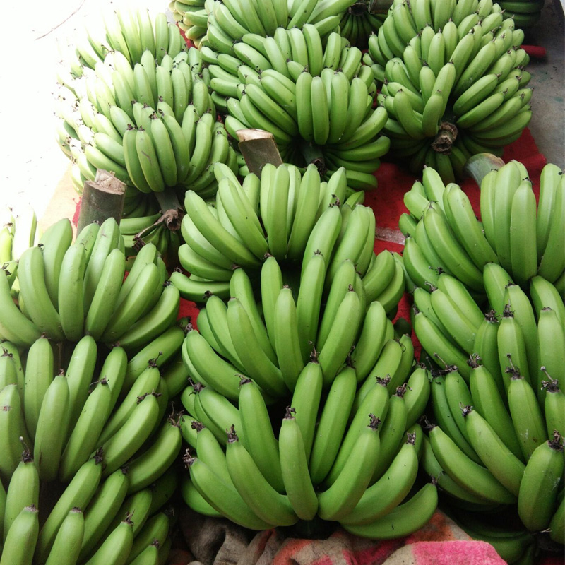 水果城现摘大香蕉无公害绿色新鲜九斤包邮非小米蕉芭蕉美人蕉粉蕉