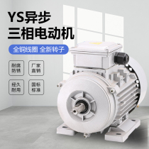 YS aluminium shell motor 120W 180W 250W 370W 550W 550W 750W three-phase national standard copper core micro motor