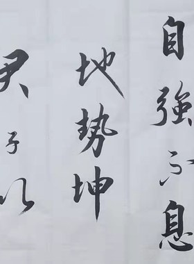 天行健挂画简军海行书装饰送礼
