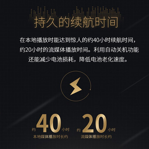 WM1AM2】Sony/索尼NW-WM1A黑砖无损HIFI发烧播放器 WM1ZM2金砖2代 - 图0